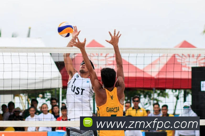 z6官网入口服务体系